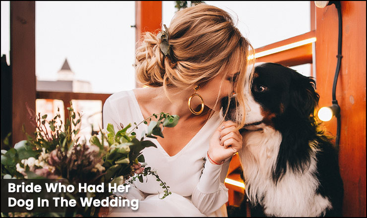 The Bride Who Had Her Dog In The Wedding