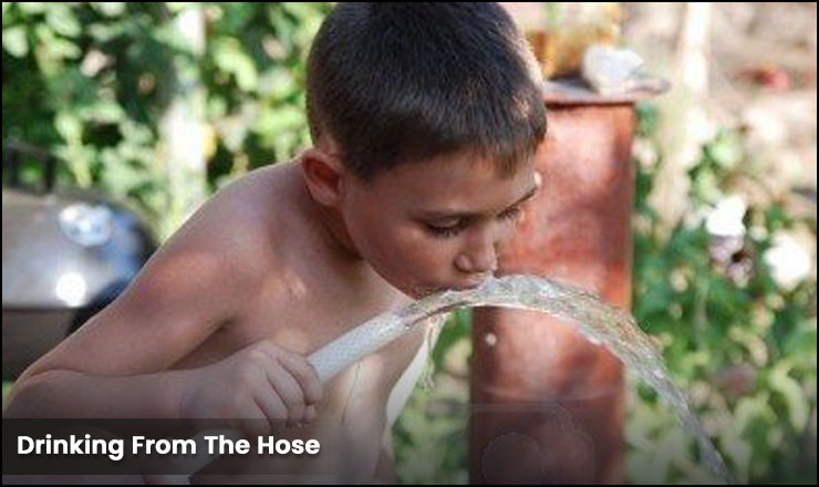 Drinking From The Hose