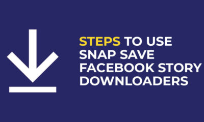 Alternatives to snap save Facebook Story Downloaders