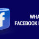 Download Facebook Reels Easily