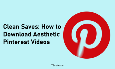 Clean-Saves-How-to-Download-Aesthetic-Pinterest-Videos