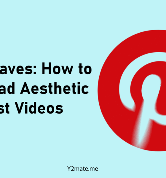 Clean-Saves-How-to-Download-Aesthetic-Pinterest-Videos