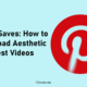Clean-Saves-How-to-Download-Aesthetic-Pinterest-Videos