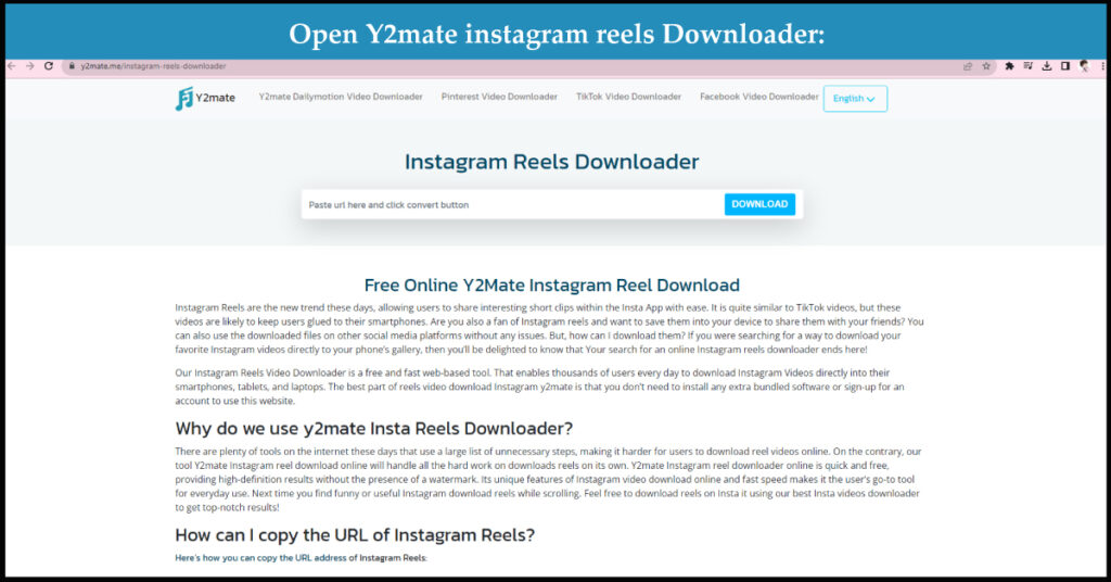 Instagram reels downloader