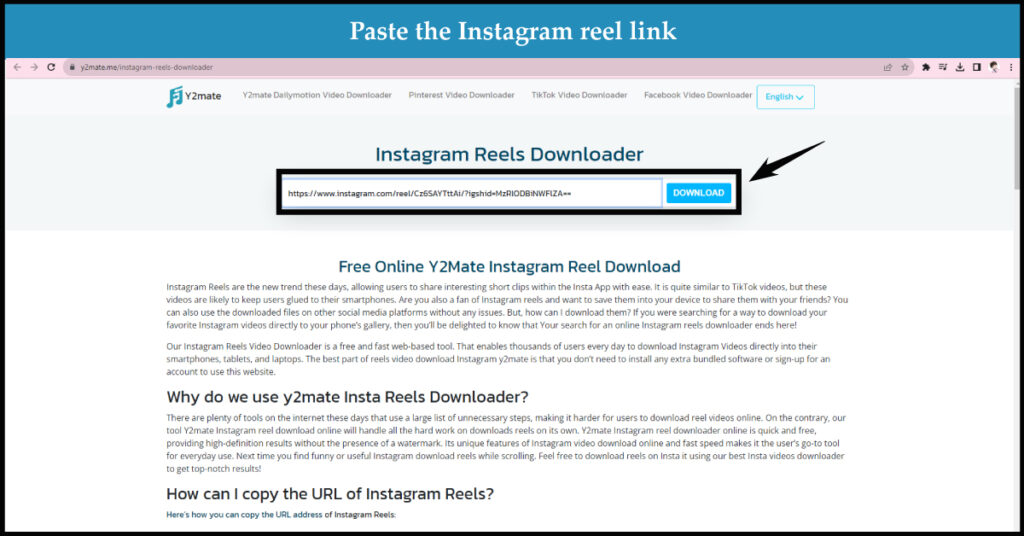 paste intsa link in y2mate instargam reels downloader