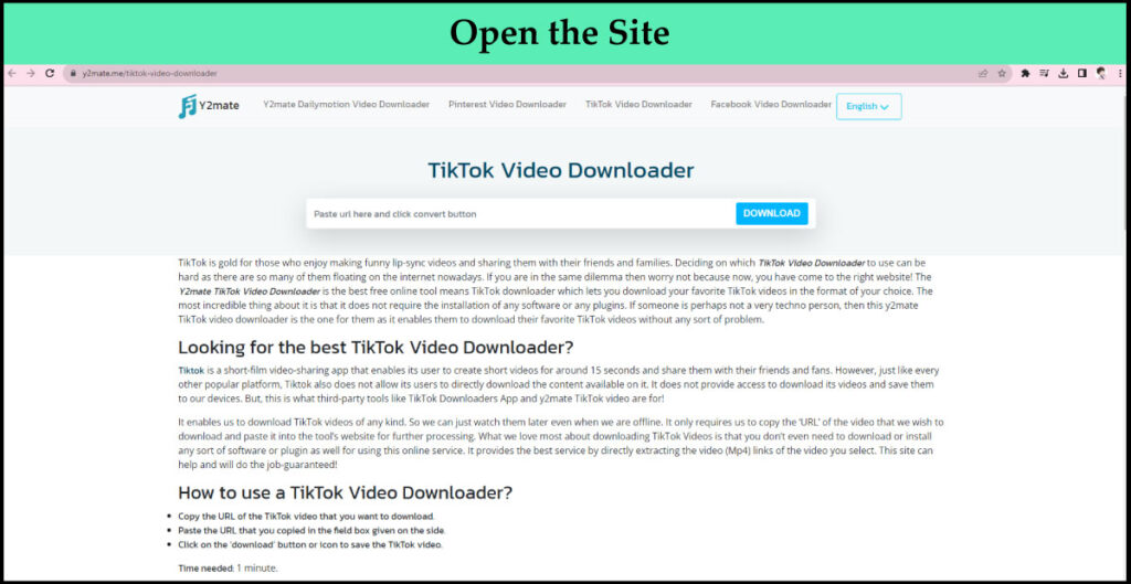 Open y2mate tiktok video Downloader