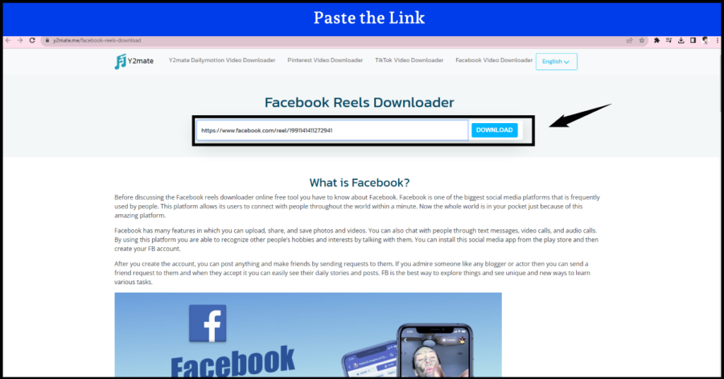 Paste the Link in the Facebook Reels video Downloader