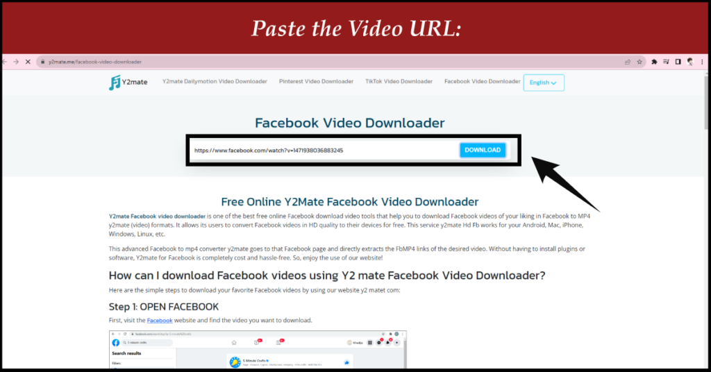 Paste video link in Facebook video downloader